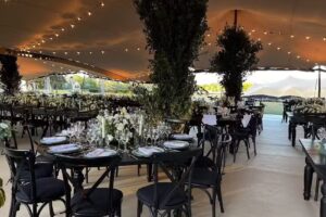 AAPE &ndash; Asociacion Argentina de Polo Eventos