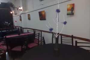 Alboroto en Fantasy . Salon de Fiestas