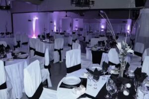 ANTARTIDA HOTEL- Sal&oacute;n de fiestas