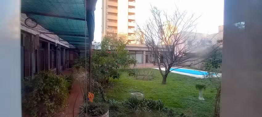 Arbol de Vida