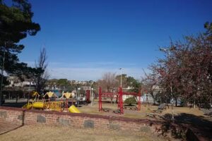 Carroñera Freestyle