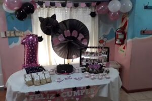 Casita De Fiestas Ilusiones