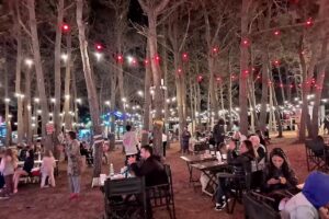 Chacra Fiesta Nacional del Gaucho