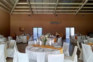Desiree Eventos