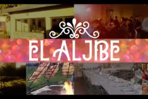 EL ALJIBE &ndash; MULTIESPACIO