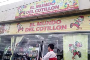 El Mundo del Cotill&oacute;n