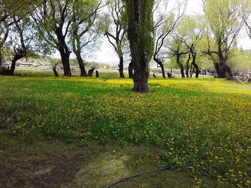 Fiesta de La mujer de campo