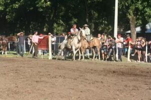 Fiesta de la Tradici&oacute;n