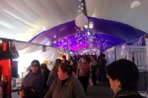 Fiesta Nacional del Mate