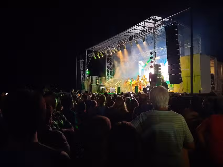 Fiesta Provincial de la Vendimia