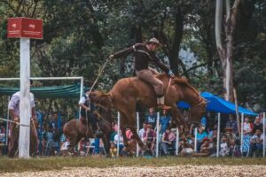 Fiesta Provincial Tradicionalista &ldquo;EL BAGUAL&rdquo;