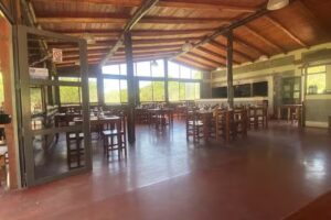 Fog&oacute;n de Luna