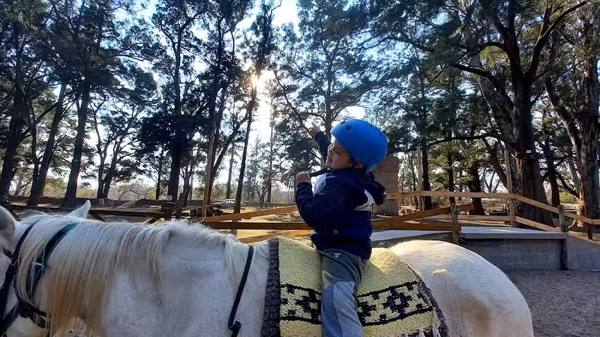 Fundaci&oacute;n Las Casuarinas