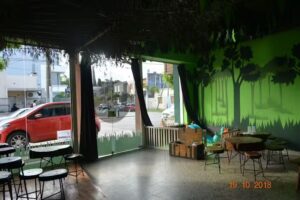 Juguemos En El Bosque