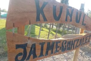 Ku&ntilde;ul Jaime Gonzalez