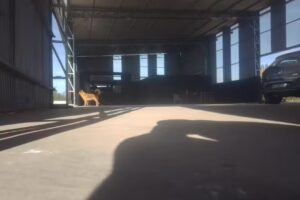 Los Jardines de Ibarlucea Sal&oacute;n de Eventos