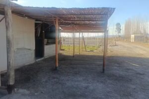 Miguel Arc&aacute;ngel