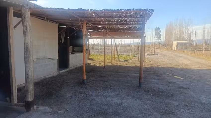 Miguel Arc&aacute;ngel