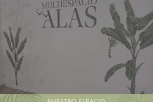 Multiespacio Alas