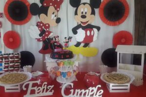 PADIEMI Sal&oacute;n de Fiestas Infantiles