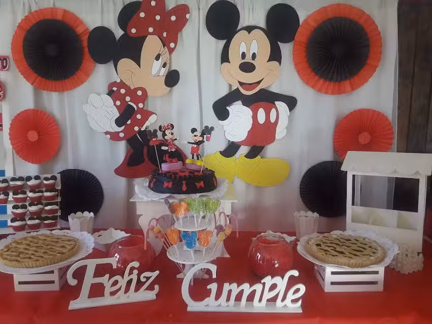 PADIEMI Sal&oacute;n de Fiestas Infantiles