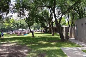 Pasi&oacute;n Eventos TORTUGUITAS