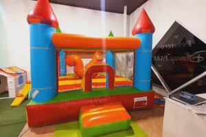 PELOTERO DISNEY PARK