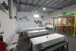 Pelotero trebol kids