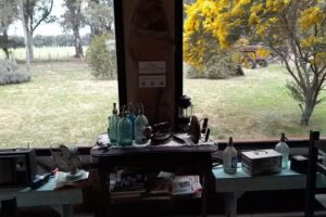 Peppino Luongo resto y eventos