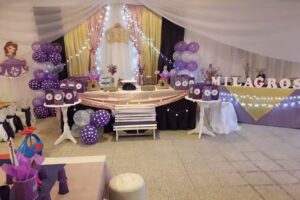 Play Movil salon de fiestas