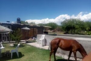 Posada Don Francisco