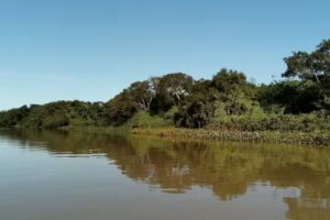 Quincho Joseph Mangold