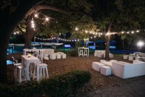 Quinta esquina tortugas