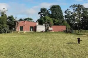 Quinta Hojas de Oto&ntilde;o Chascomus