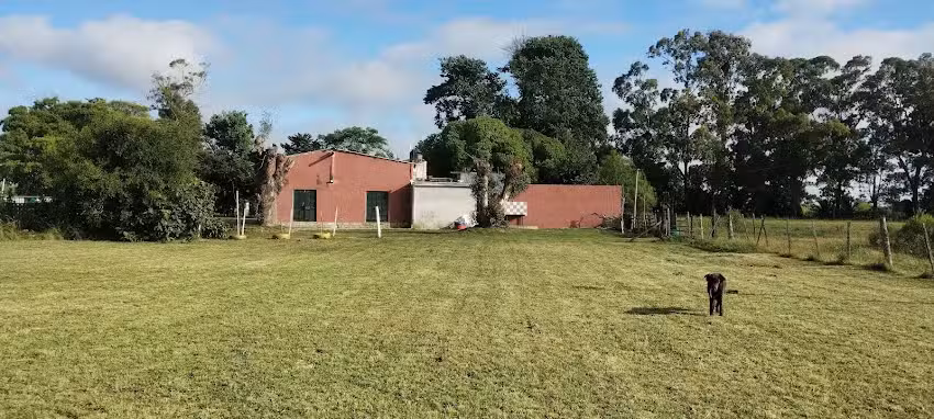 Quinta Hojas de Oto&ntilde;o Chascomus