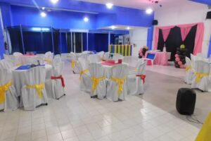 Salon De Eventos Los Pitufos