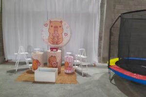 SAL&Oacute;N DE FIESTAS &ldquo;SOLCITOS&rdquo;