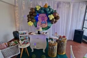 Salon-Eventos Ferlina