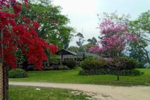 Sal&oacute;n La Arboleda