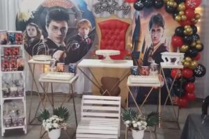 Sal&oacute;n la pulguita