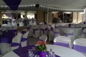 Sal&oacute;n Los Leones &ndash; Fiestas Y Eventos