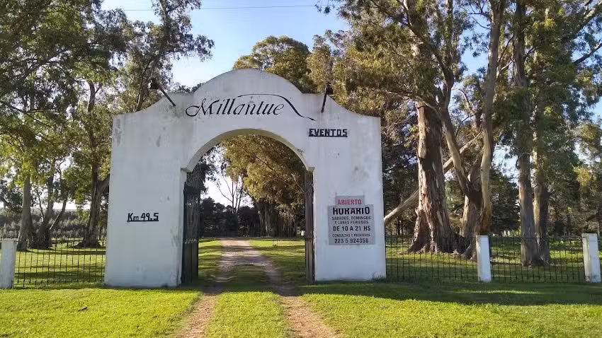 Sal&oacute;n Millantue