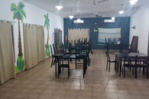 Simba y sus amigos (Sal&oacute;n de eventos infantiles)