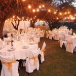 terra eventos