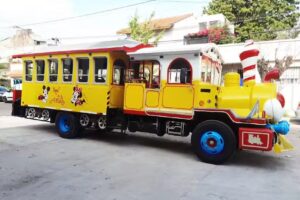 Tren de la Alegria Oficial