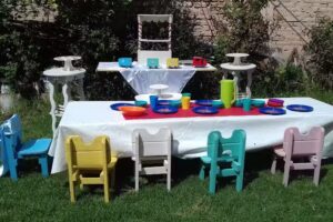 VICTORIA SERVICIO DE LUNCH